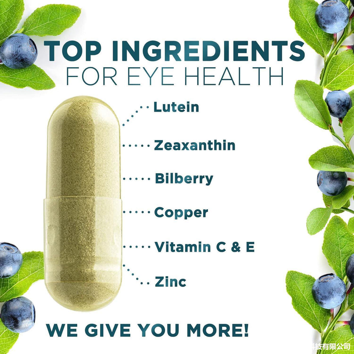 Eye Vitamins Capsules for Vision Health Image 3 - Healing Shop